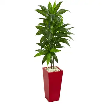 Искусственное растение драцена в красной кашпо (настоящая), зеленая