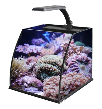 Мини-аквариум из ультра прозрачного стекла с морской водой для морских рыбок