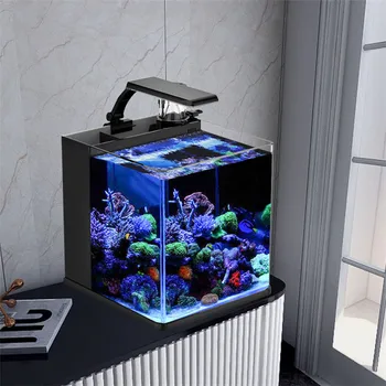 Мини-аквариум из ультра прозрачного стекла с морской водой для морских рыбок