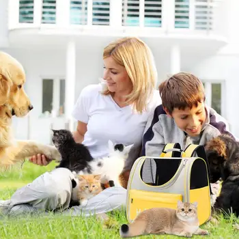 Рюкзак для переноски кошек, Водонепроницаемый Дышащий Складной рюкзак для кошек с ручкой для переноски на открытом воздухе, для пикника