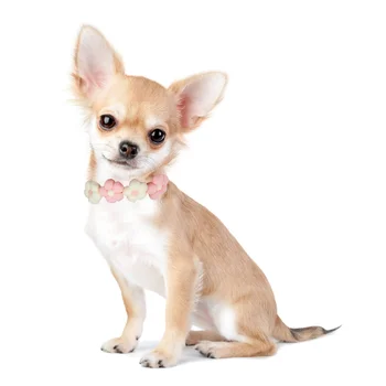 Ошейник для домашних животных, Реквизит для фотосессии собак ручной вязки, Креативные аксессуары для щенков в цветочном дизайне, маленькие собаки